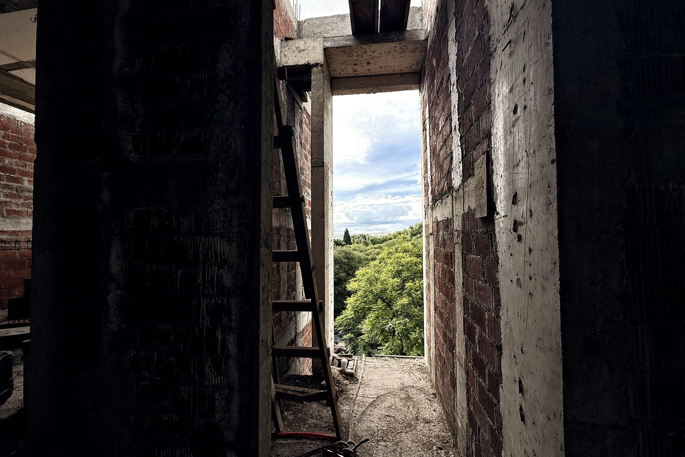 Vano de ventana enmarcando árboles