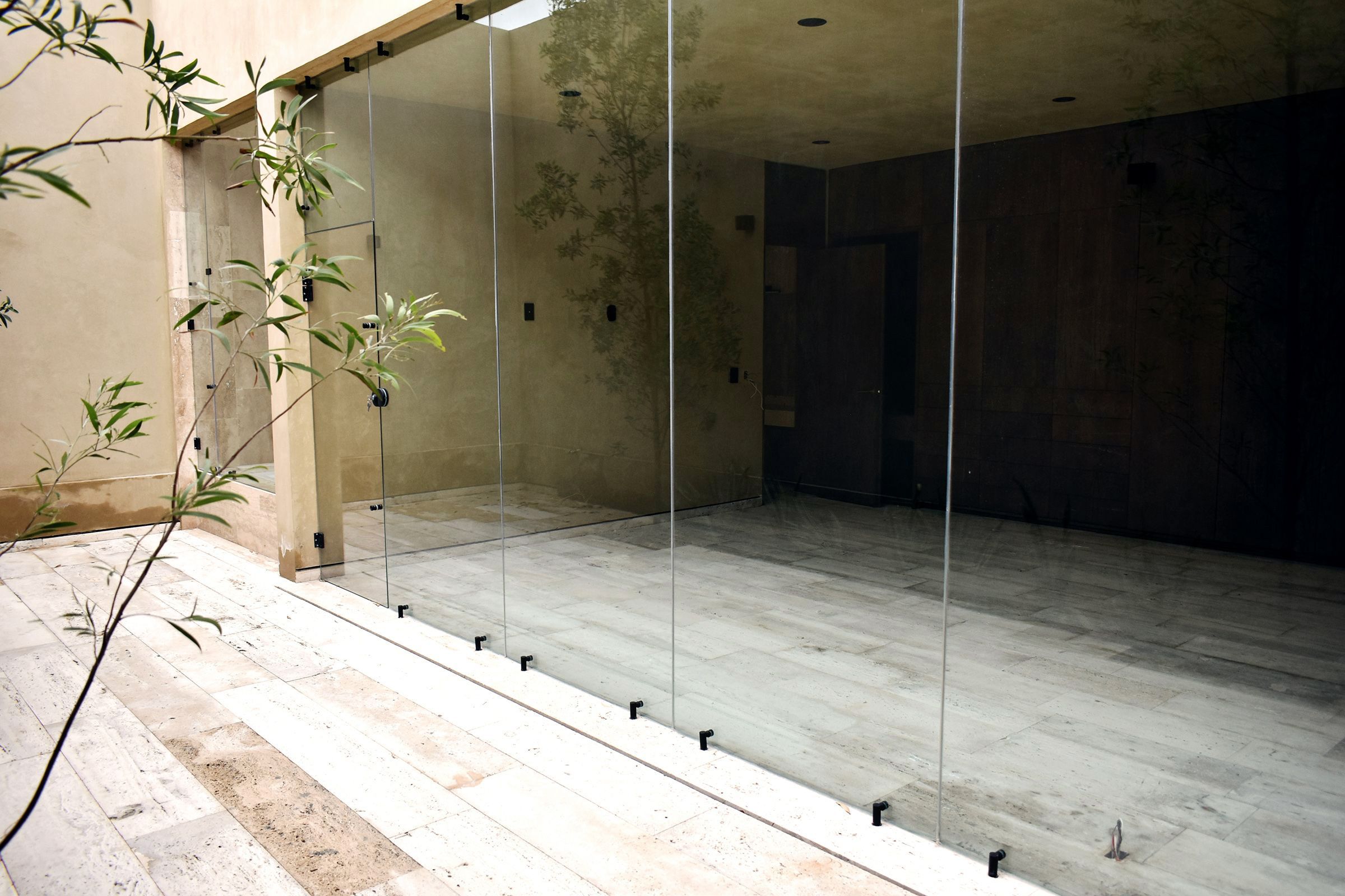 Patio con cancel de vidrio y planta joven