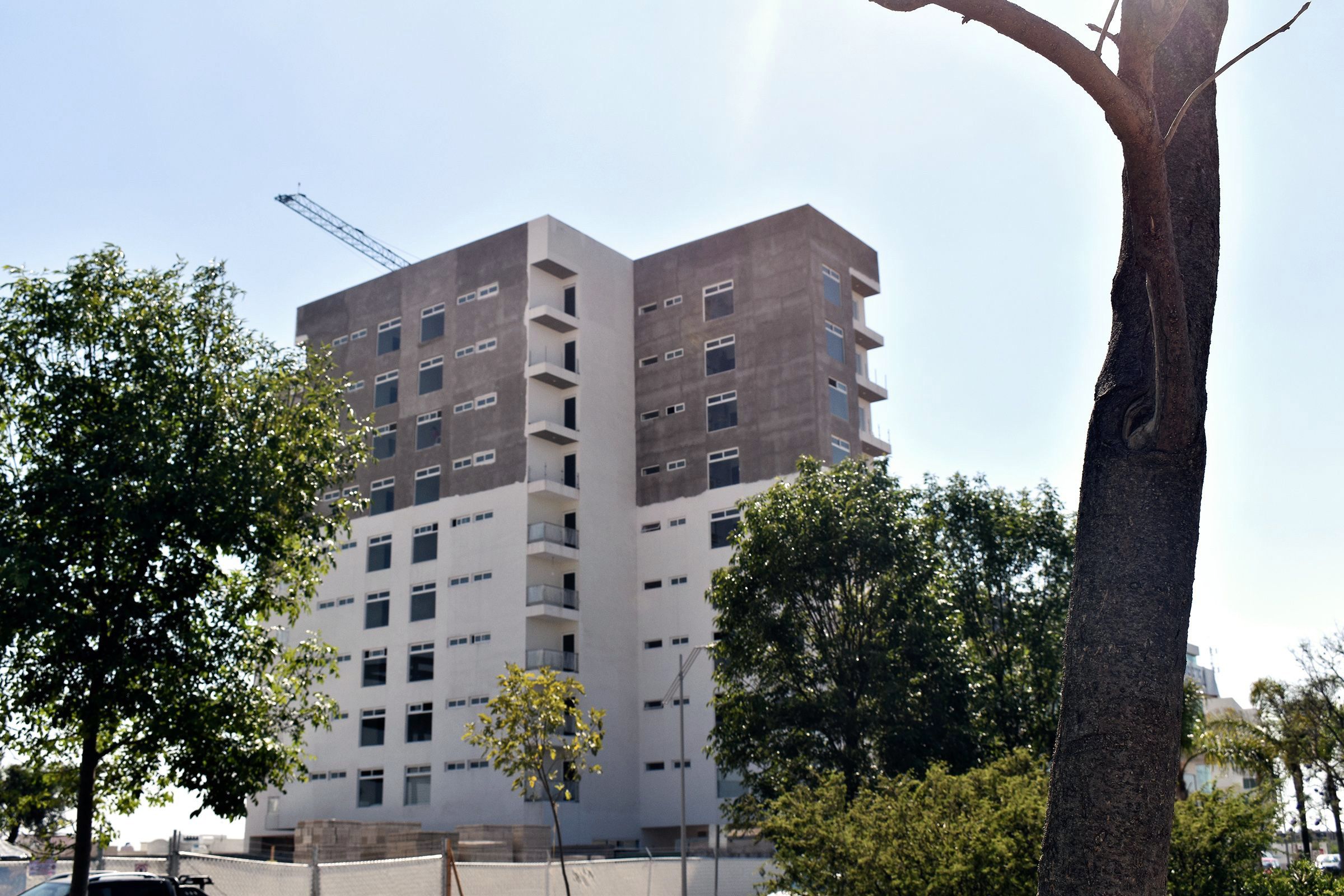 La torre con la grúa, vista desde la calle entre árboles