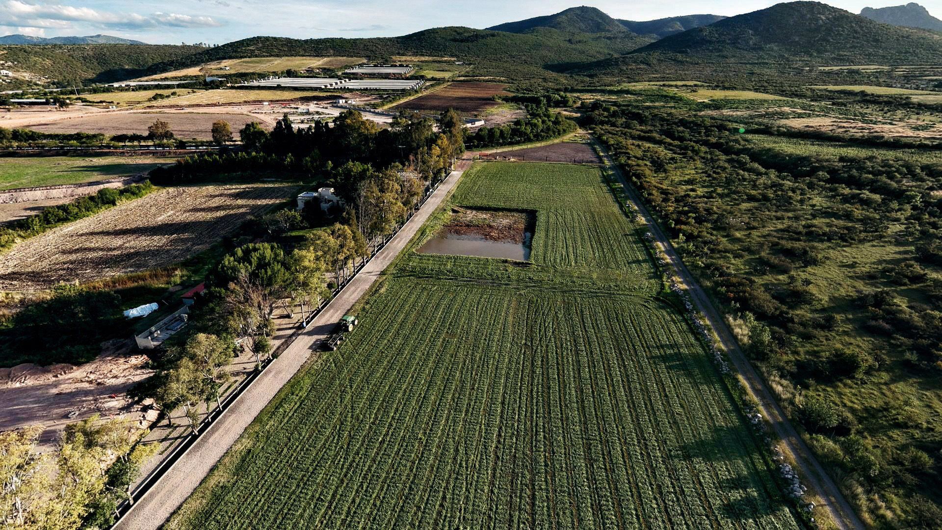 Hacia el sur: los surcos, la calle empedrada con eucaliptos y la sierra